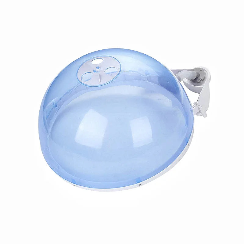 Professional 2 in 1 Hot Nano Hair Steamer Ozone Steaming Face Facial Cleaning Vaporizer Skin Care Beauty Salon Tools Nebulizer