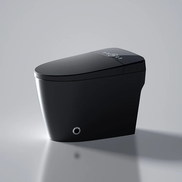 Matte Black Bidet Floor Smart Toilet S Trap Toilets With Bidet Ceramic Wc