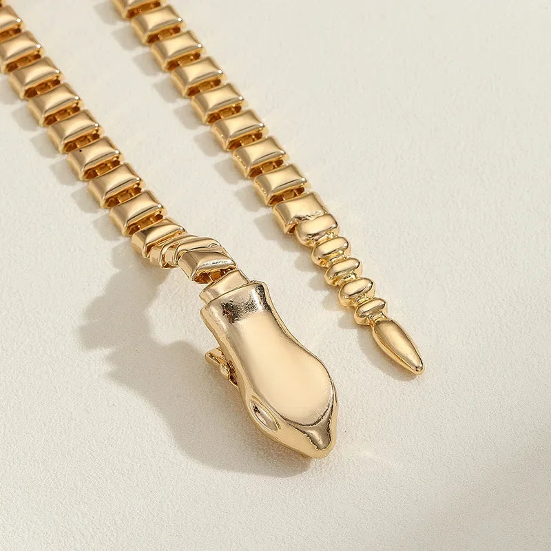 Modern Jewelry European and American Design Metal Snake Necklace For Women Party Gifts Modern Accessories Hot Selling