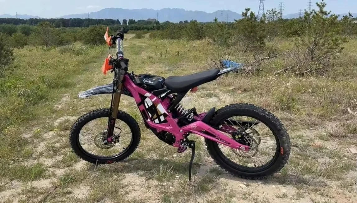 Tc Drop Shipping 60V8000 Long Range Light Bee New Energy Electric Bike Off-Road High Speed Mountain Bike