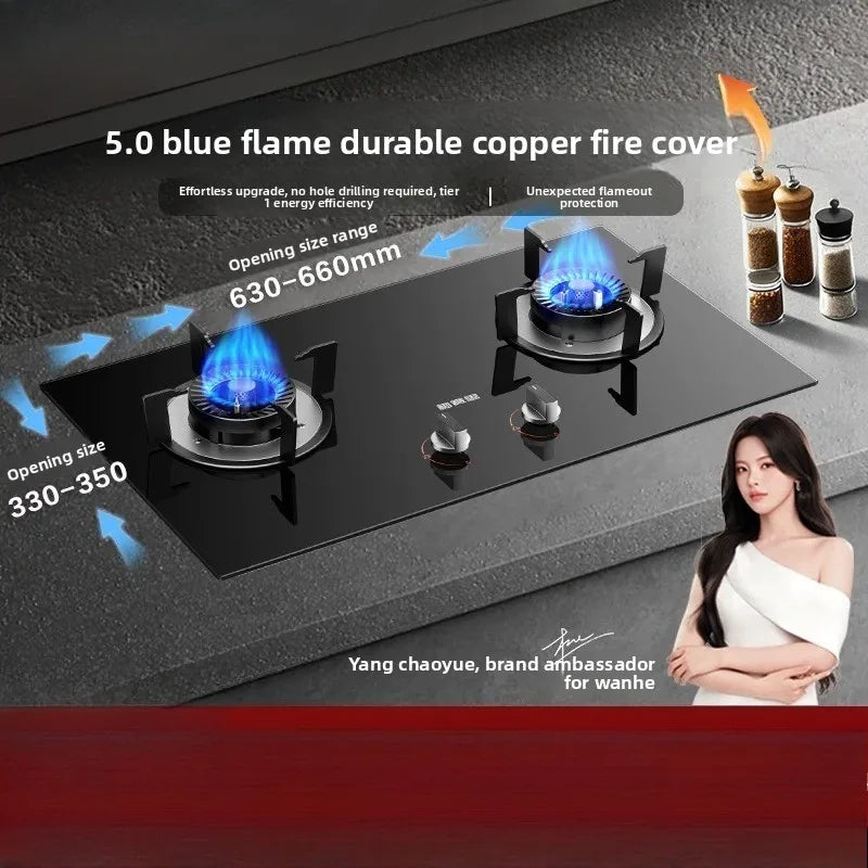 New Household Double Burner Gas Stove Built-in Desktop LPG Natural Gas High Fire Energy Class 1 Cooktop X1
