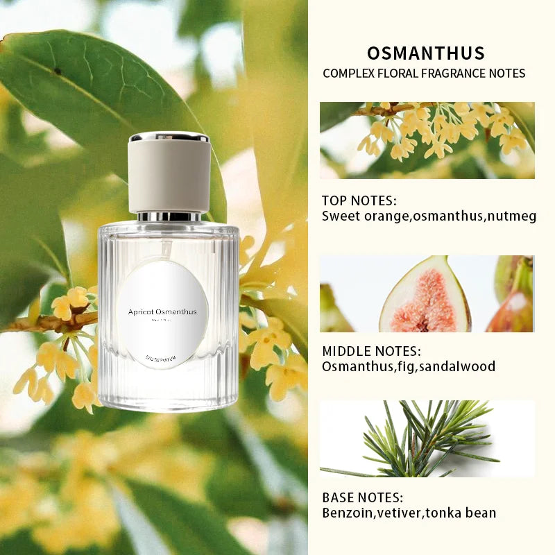 12 Scents Summer Floral Perfume Series Luxury Romantic Long Lasting Women Fragrance for Daily Office Dating & Gifting