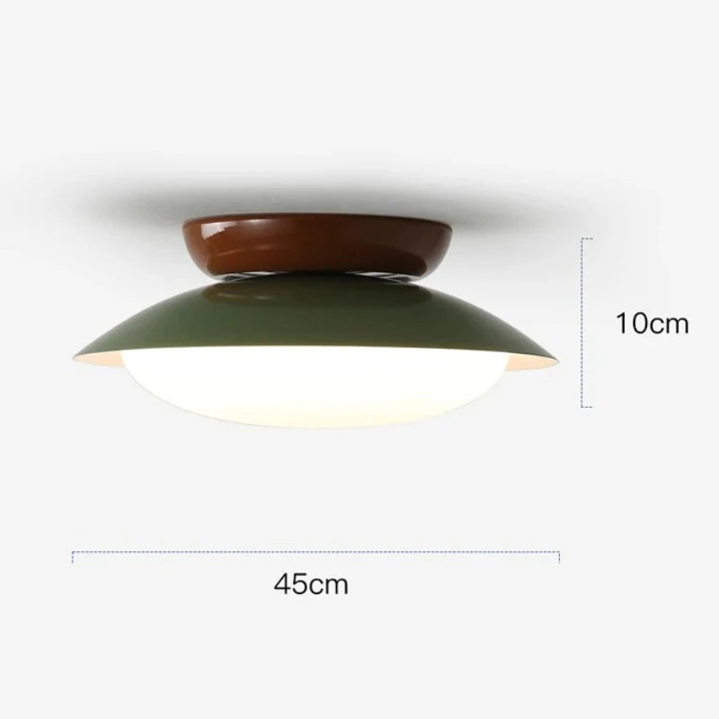 Modern New LED Ceiling Lamp Indoor Home Living Room Dining Room Study Bedroom Lighting