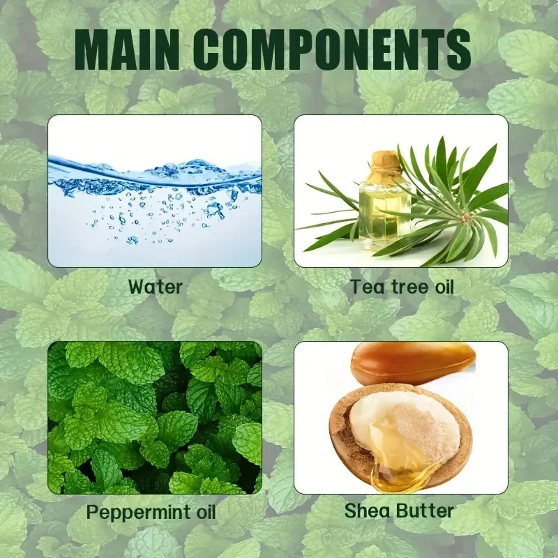 Tea Tree Mint Shampoo Natural Essence Revitalizes Hair. Dense Foam Cleansing. Strengthens. Smooths. Adds Volume Shine.