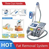 Handpiece For Orthopaedics Acoustic Shock Wave Zimmer Radial Shockwave Therapy Pain Removal Edswt Urology