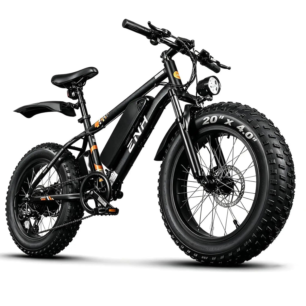 Electric Bike for Adults, 1000W Peak Motor 25Mph 65 Miles Fat Tire Ebike with 48V 15Ah Removable Battery, 20"/24", Customized