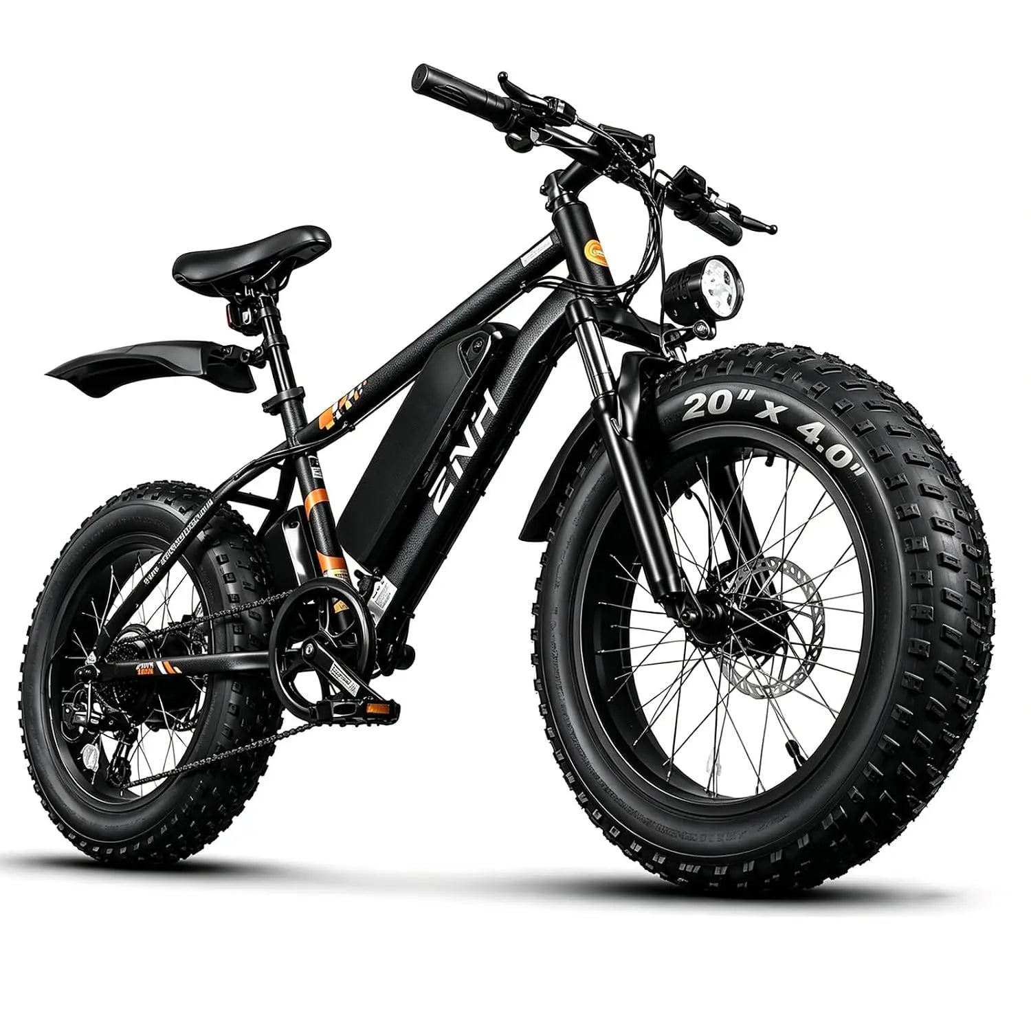 Electric Bike for Adults, 1000W Peak Motor 25Mph 65 Miles Fat Tire Ebike with 48V 15Ah Removable Battery, 20"/24", Customized