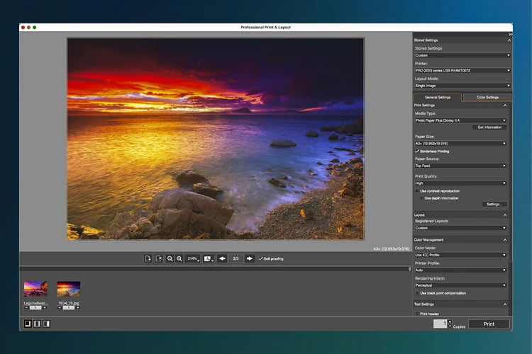 A3+ Professional Photo Printer for Cano-n ImagePROGRAF PRO-310 High-Resolution Color Inkjet for Fine Art & Photography