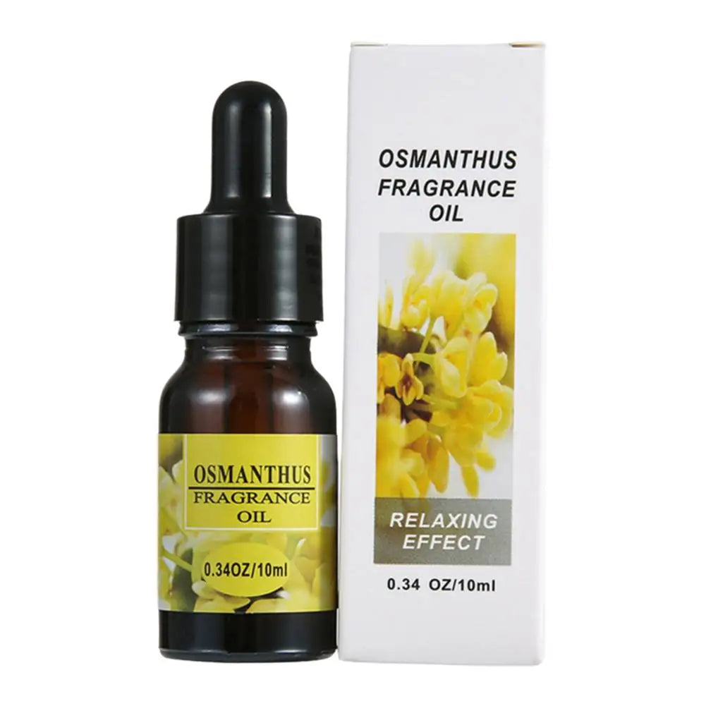 10ml Car Perfume Refill Liquid Flavor Essential Oil with Dropper Car Air Freshener Refill For Air Humidifier Home Auto Fragrance