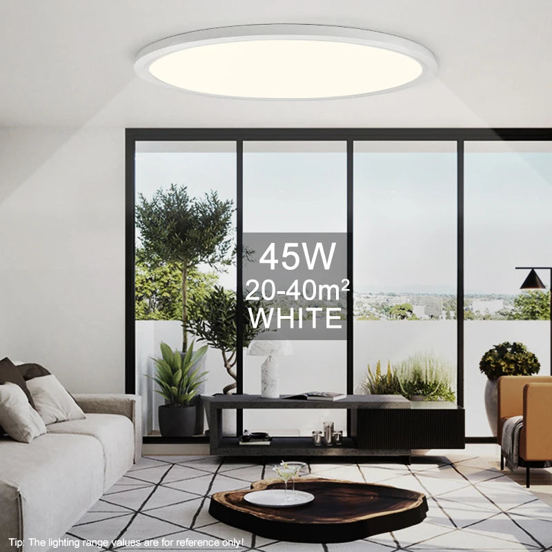 Led Ceiling Lights Large 20Inch Ultra-thin Remote Control APP Dimmable Smart Modern Lamp For Living Room Bedroom Home Decoration