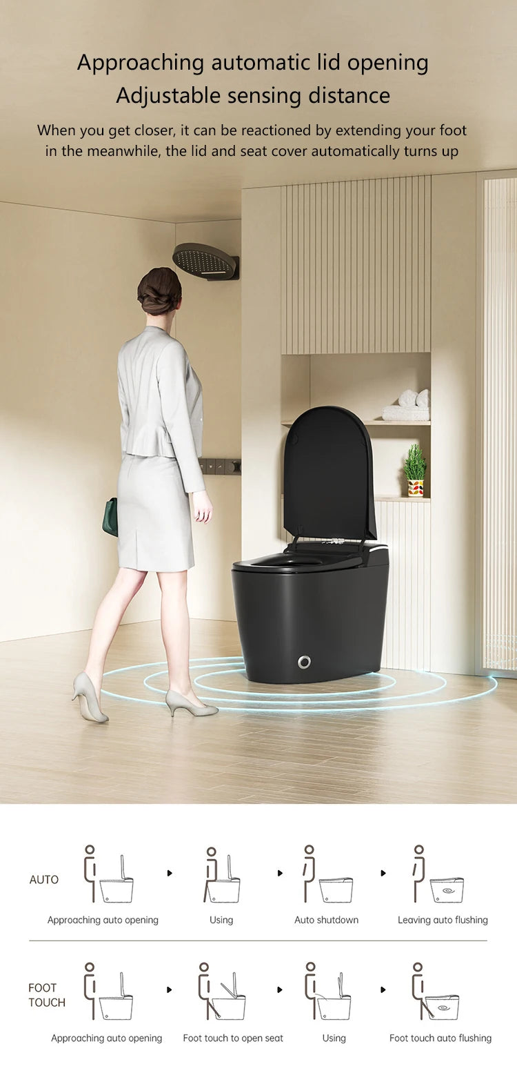 Modern Bathroom Smart Toilet Black Ceramic Automatic Electronic Control Bidet Wc Toilet