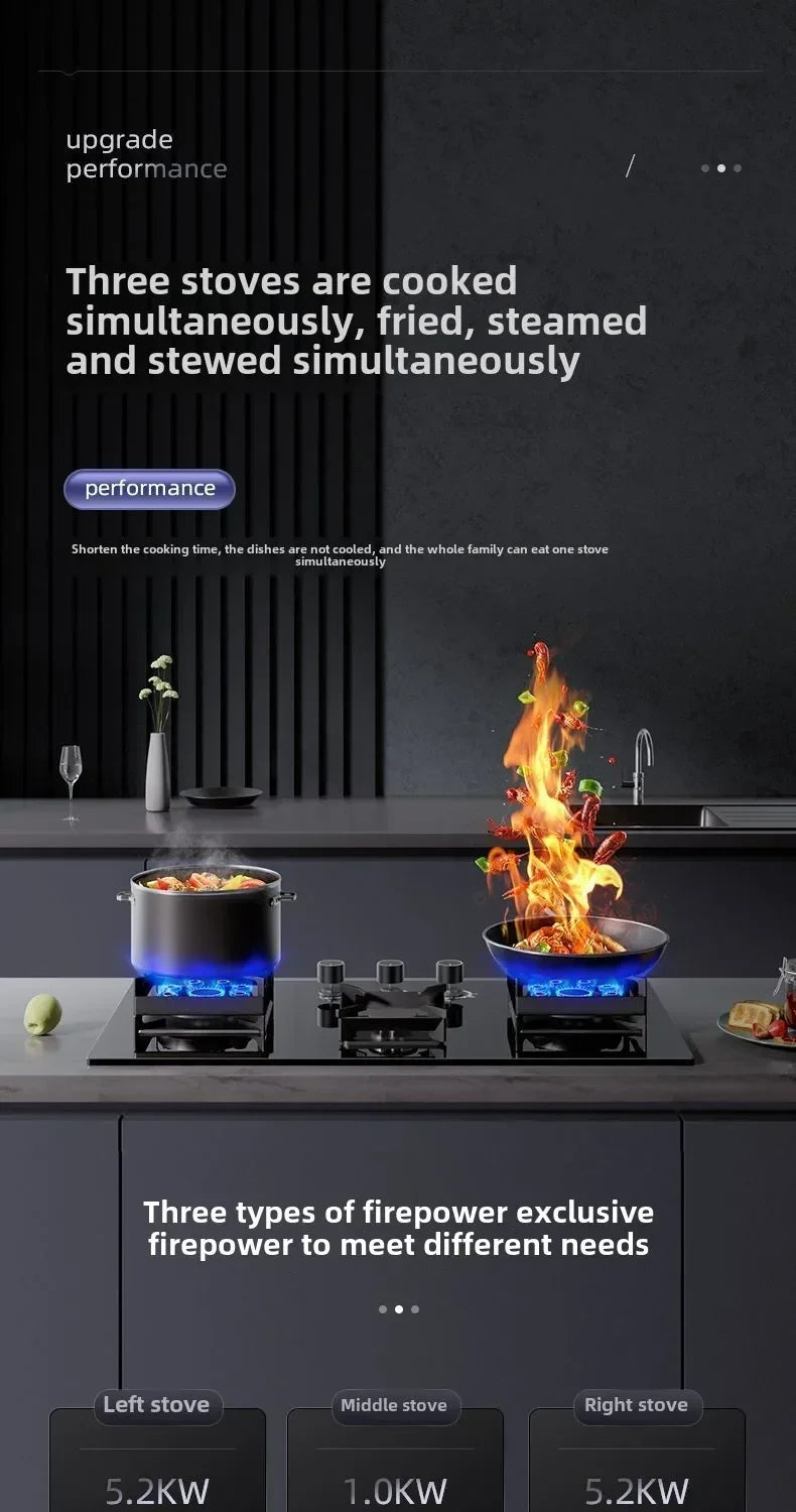 Embedded Three-Burner Gas Stove Dual Fuel Natural Gas LPG Household