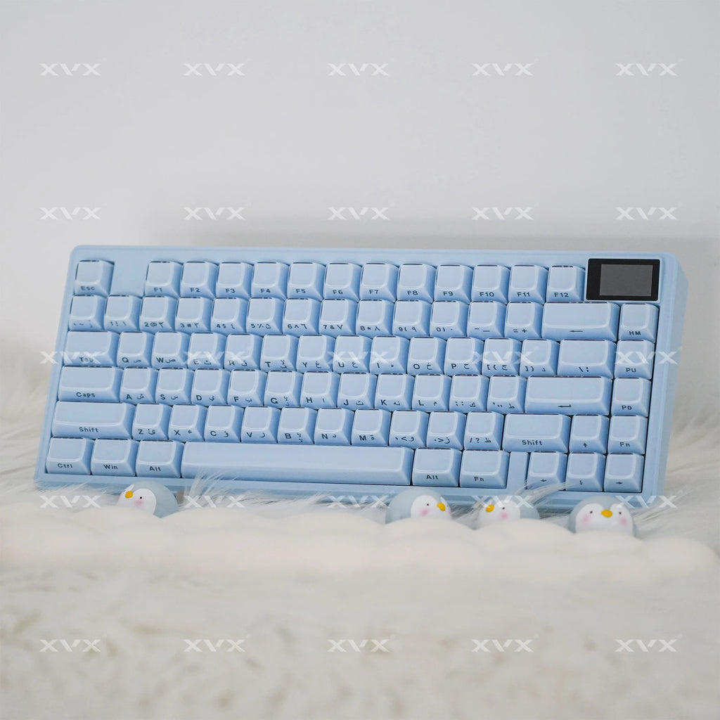 XVX Jelly Crystal Keycaps Side Print Pink/Blue 113keys Double Shote DIY Mechanical Keyboard OEM Profile Translucent Keycaps