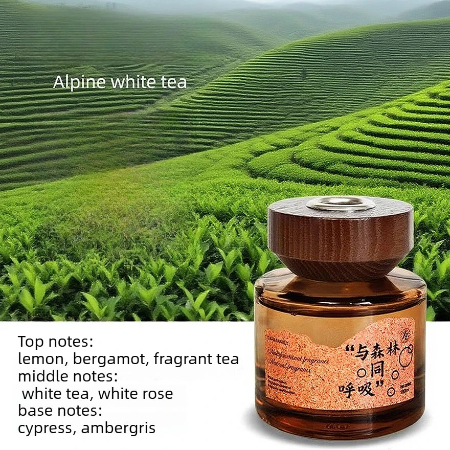 1pc High Grade Wood Car Mounted Perfume Accessories Vintage Highend Fragrance Lasting Fragrance