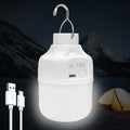 Camping Light Bulb Emergency Night Lighting Flashlight Outdoor Picnic Hanging Pendant Tent Lamp 500mAh USB Rechargeable LED Bulb