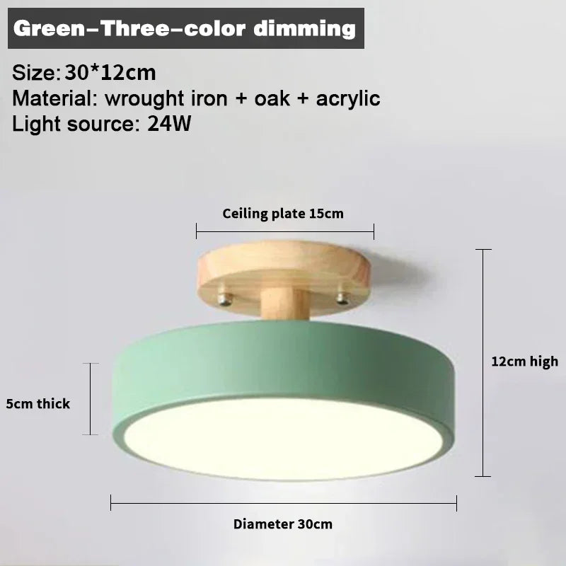 Nordic Entrance Hallway Ceiling Lamps Balcony Wood Round Cloakroom Dining Room Study Bedroom Light Bathroom Industrial Lighting