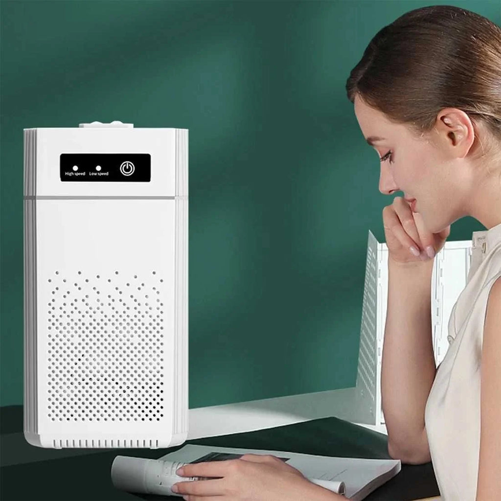 Air Purifier for Home Allergies Pet Hair 3-in-1 Air Purifiers Cleaner with Fragrance Sponge for Better Sleep