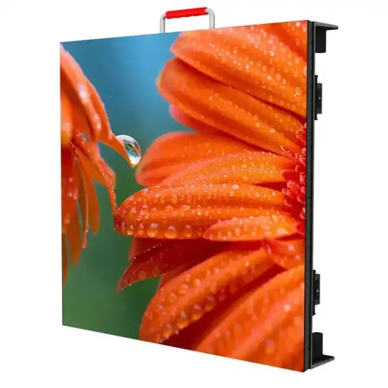 Outdoor Indoor LED Display for Living House and Advertising