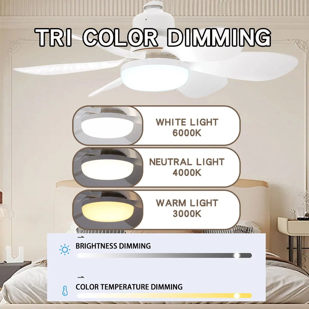 E27 with Remote LED 30W 40W Ceiling Fan Light Dimming Function Suitable for Living Room Study and Home Use 85-265V