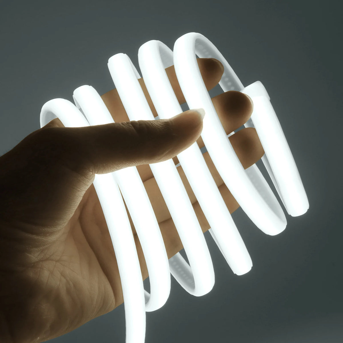 Waterproof Flexible COB Neon Light DC 12V 24V Milky White 3000K 4000K 6000K 0.5M-20M for Home Indoor Outdoor Decoration
