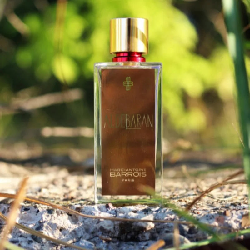 Unisex Spicy Woody Perfume Warm Intense Bold Captivating 100ml Long Lasting Niche Fragrance with Distinctive Sophisticated Style