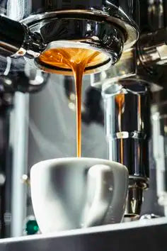Dalakon Whole Bean Robusta Coffee 500g Italian Style Espresso Best Price Bulk Pack From Vietnam in Bag