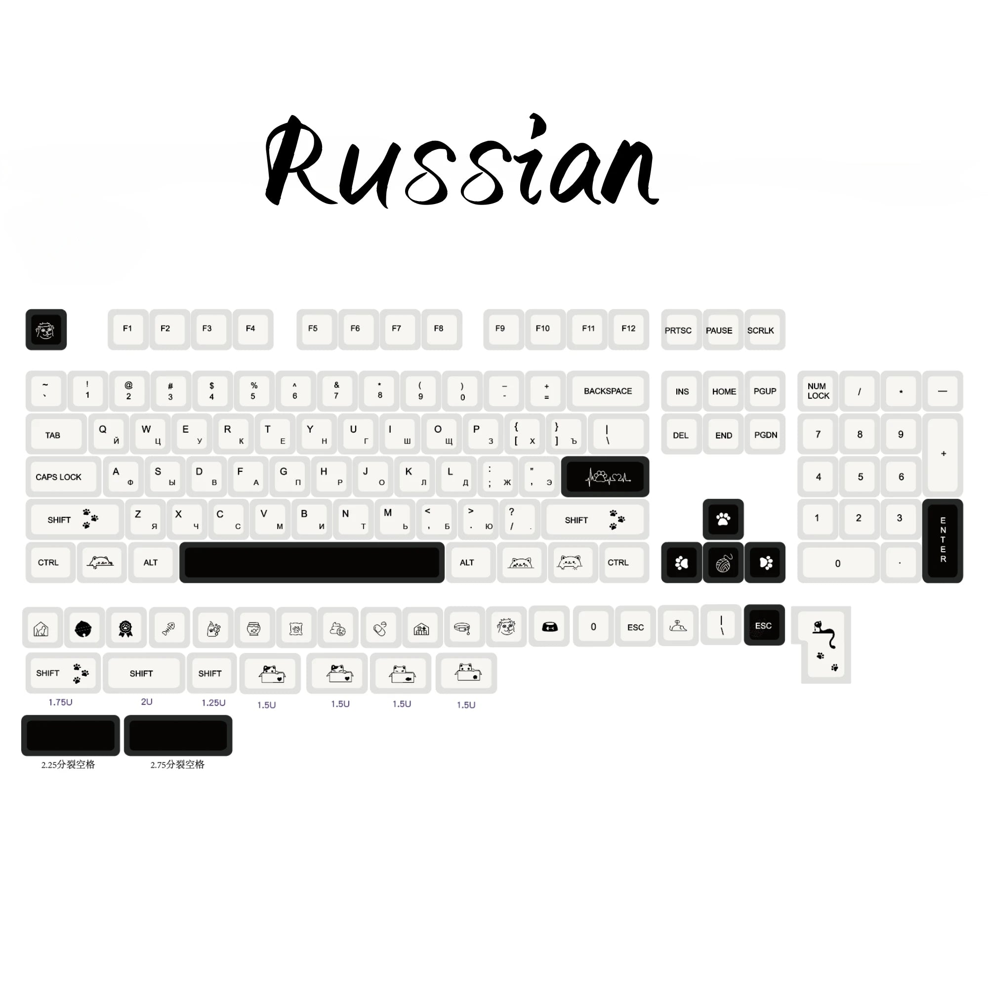 Strange Cat Cute Keycap English/Russian/Korean PBT MOA Minimalist Black and White Keycaps Lovely Kitten Mechanical Keyboard Caps