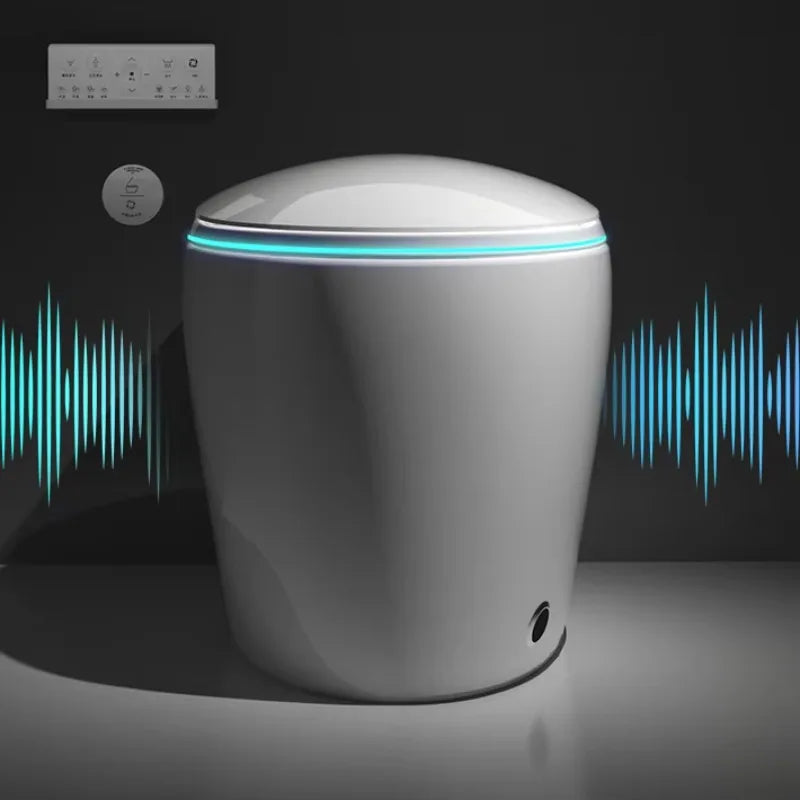 Fully automatic smart toilet, slender bowl seat with instant hot water tank, heating remote control - all features included