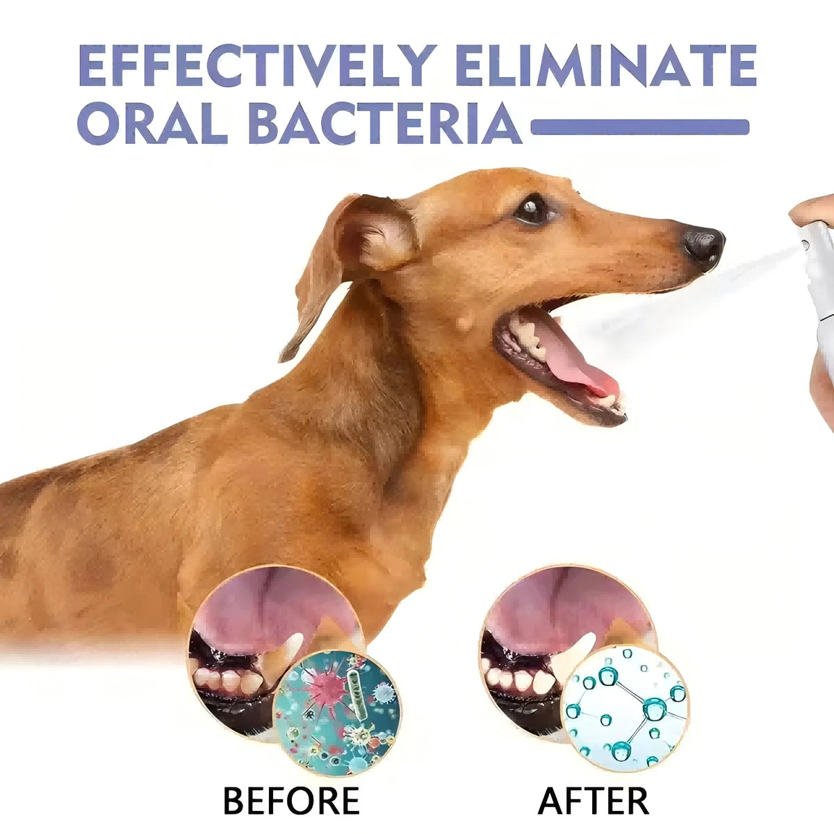 Pet Oral Care Spray Reduce Bad Breath Care Gums Health Gentle Non Irritating Plaque Tartar Remover Care for Dog Cat Oral Cleaner