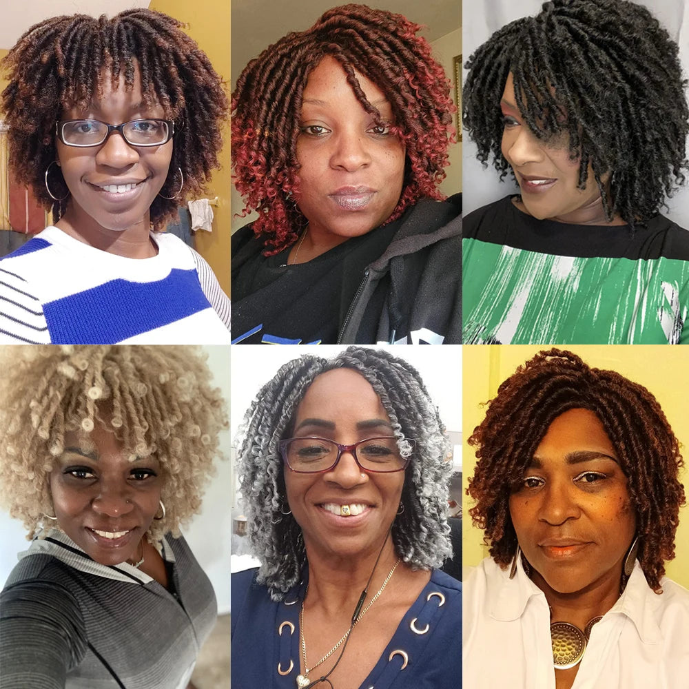 Short Dreadlock Wig Twist Braided Wigs for Black Women and Men Boho Afro Curly Synthetic Wig Faux Locs Braided Crochet Hair Wigs