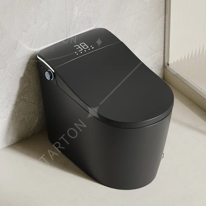 Modern Bathroom Smart Toilet Black Ceramic  Electronic Control Bidet Toilet