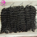 Knotless Pre Separated Deep Wave Crochet Human Hair Feather Real Hair Extensions for Braiding Deep Wave Curly Hair Extensions