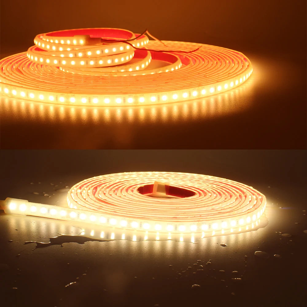 24V LED Strip Light IP68 Waterproof 1-20M SMD 2835 120LEDs Flexible LED Tape Ribbon Lamp Indoor Outdoor Lighting Park Fish Tank