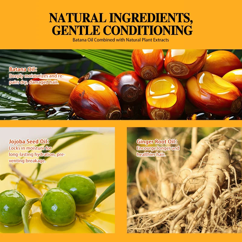 Batana Hair Oil Anti Hair Loss Hair Strengthener Cream Hair Regrowth Deep Moisturizing Nourish Batana Hair Growth Conditioner