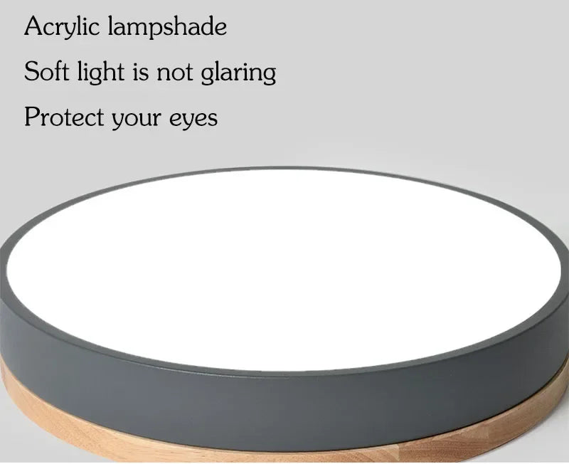 LED Ceiling Lamp Indoor 24W 36W 48W for Living Room Bedroom Corridor Lighting Cold/ Warm White Natural Light Fixtures