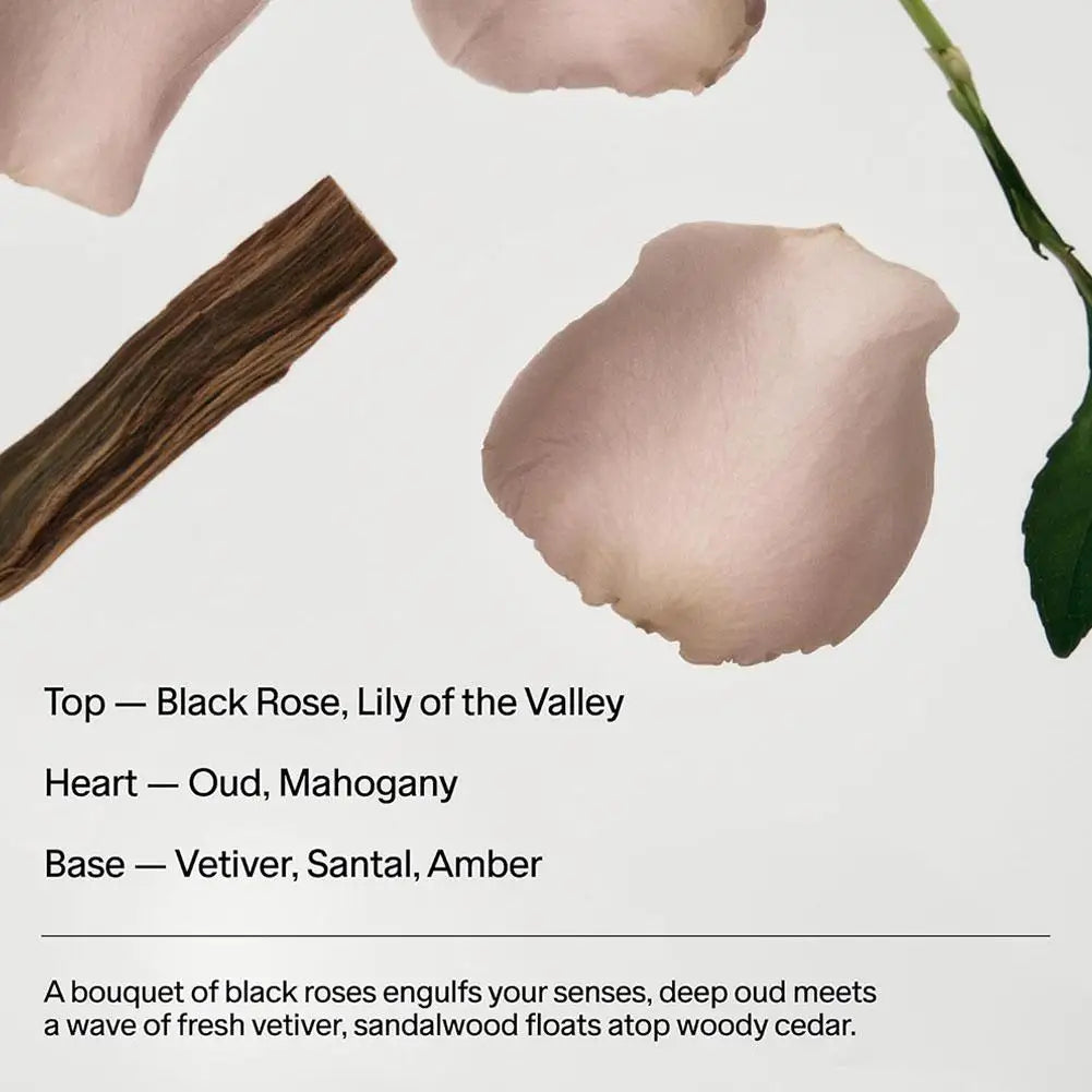 SALT& STONE Brand Deodorant Black Rose Oud Neroli Basil Eliminate Body Odors Fragrance Blam Stick Unisex Natural Plant Deodorant