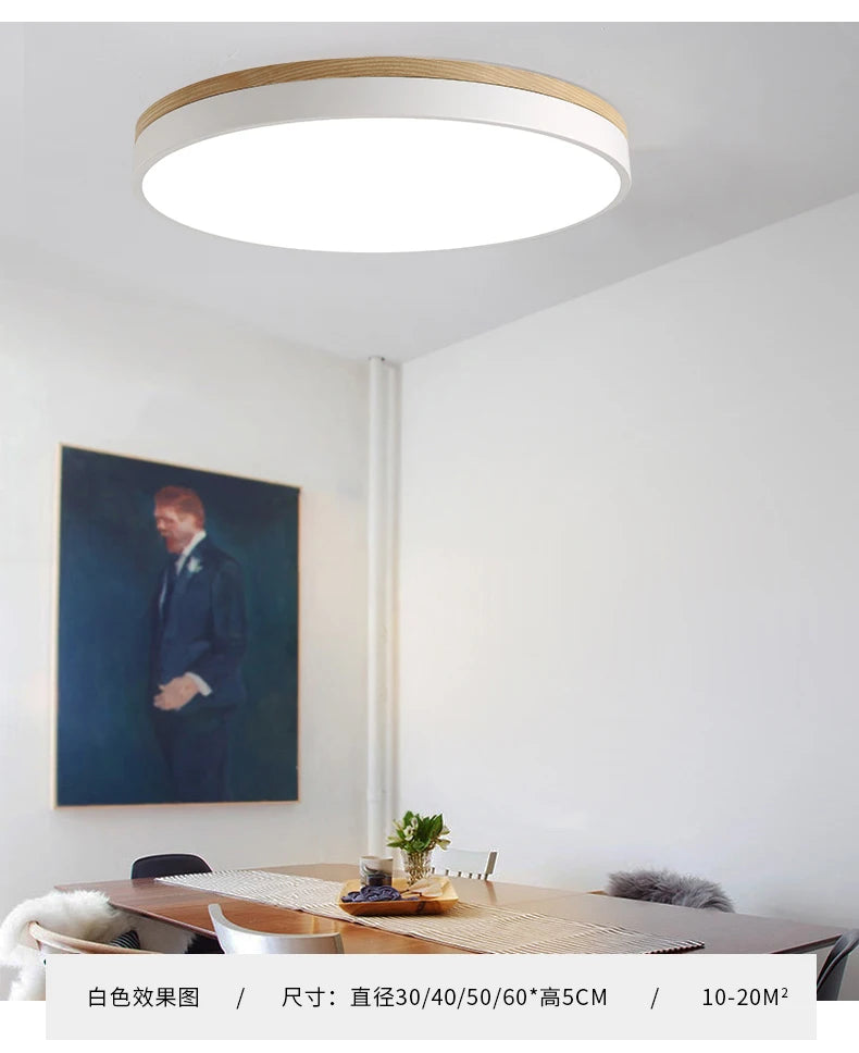 LED Ceiling Lamp Indoor 24W 36W 48W for Living Room Bedroom Corridor Lighting Cold/ Warm White Natural Light Fixtures