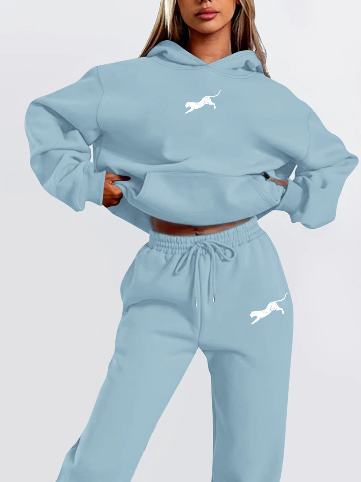 Women Two Piece Outfit, Animal Graphic Cropped Hooded Sweatshirt+Drawstring Jogger Pants,Casual Loose Streetwear SportsTracksuit