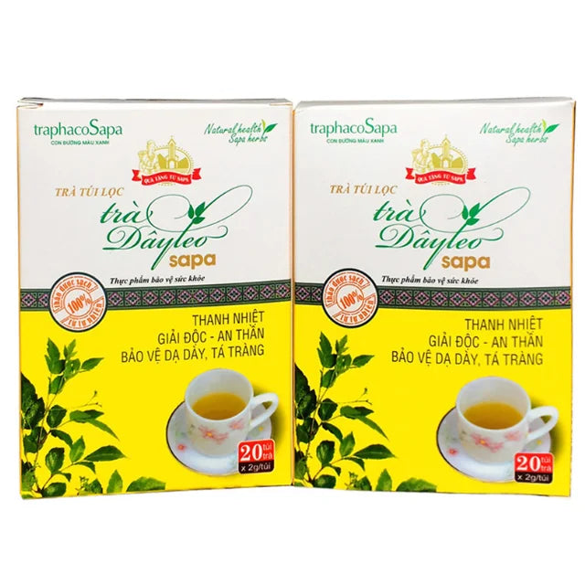 High Quality Tea Bag Ampelopsis Cantoniensis Herbal Health Tea 100% Natural Herbal Tea Stomach Support