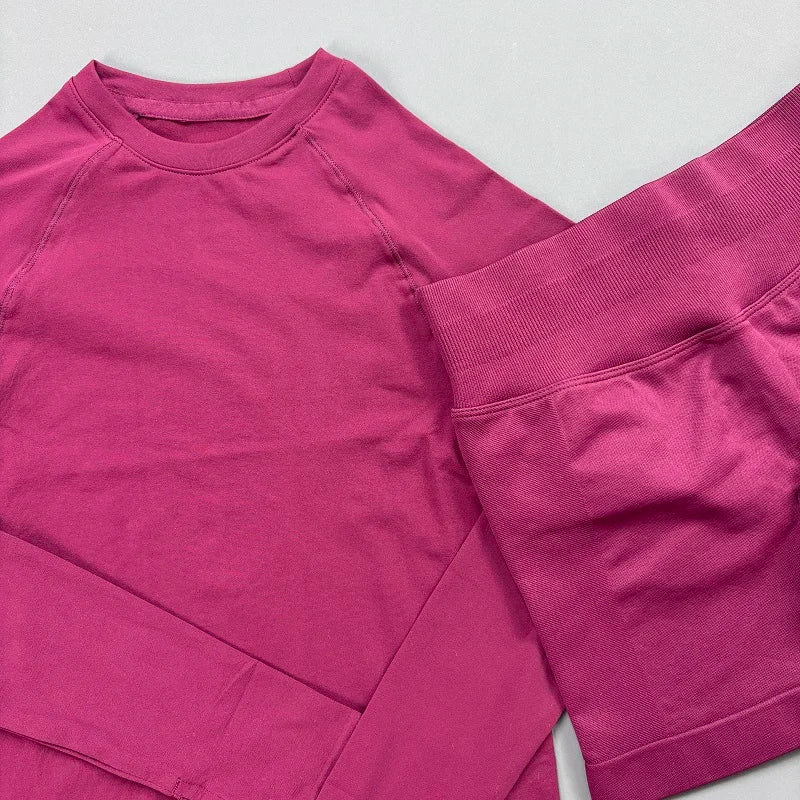 2 Piece Sports Set Women Workout Long Sleeve Top Seamless Shorts Sets Quick Dry Stretch Gym Fitness Running Yoga Athletic Outfit