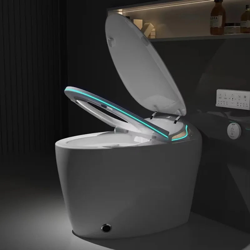 Fully automatic smart toilet, slender bowl seat with instant hot water tank, heating remote control - all features included