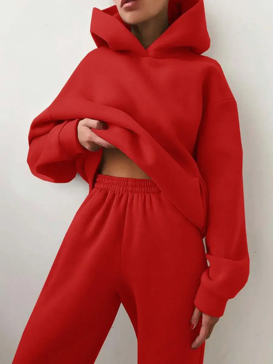 Two Piece Pant Sets Women Solid Thick Sweatshirts Hooded Full Sleeve Elastic Waist Spliced Long Pants Pockets Casual Suits