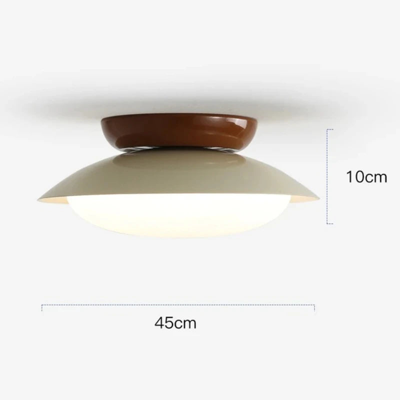 Modern New LED Ceiling Lamp Indoor Home Living Room Dining Room Study Bedroom Lighting