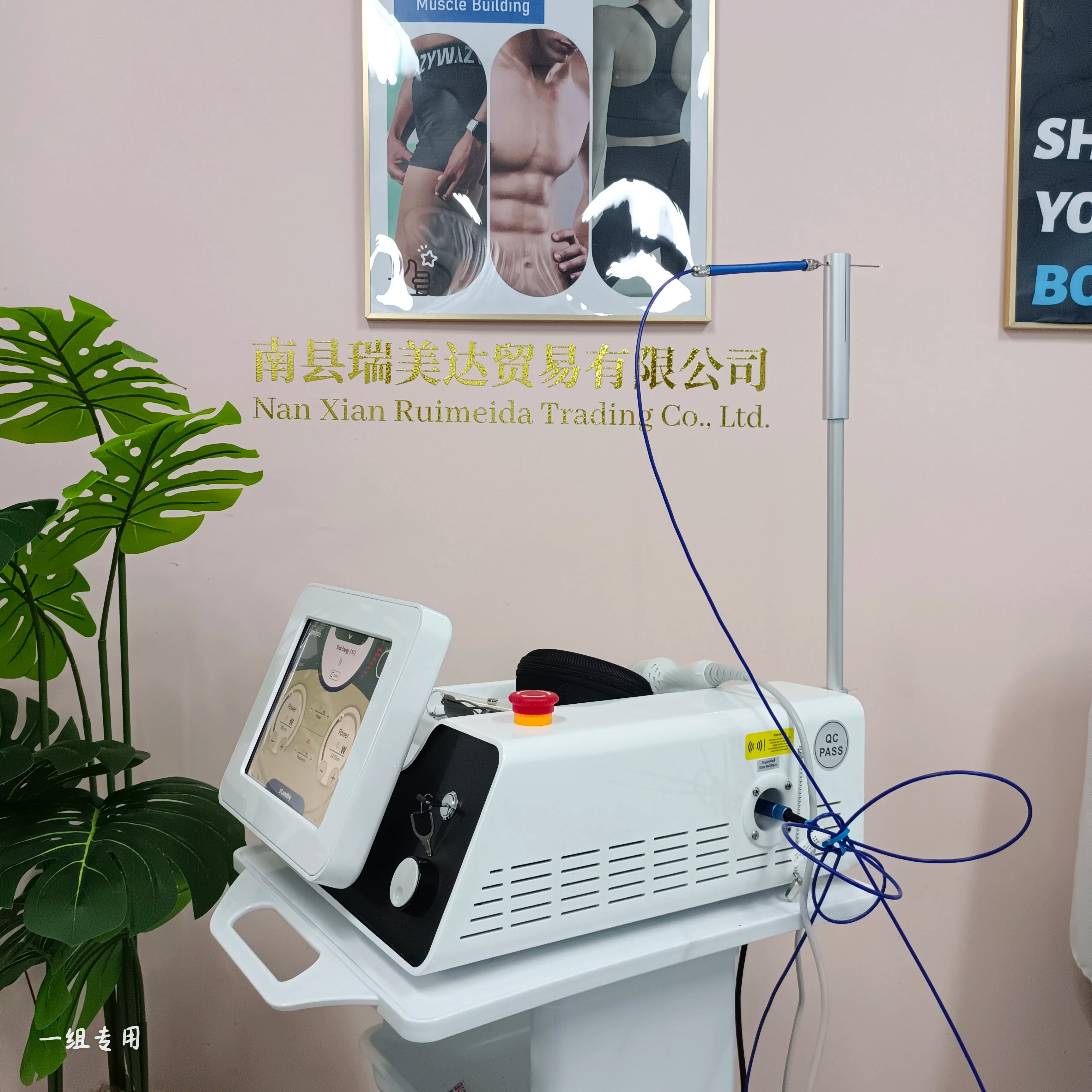 MYOSLIM Multifunctional Dual Wavelength Fiber Machine 980nm 1470nm Face Lift Body Shaping Skin Renew Device for Beauty Salons