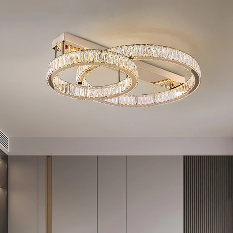Nordic home decoration salon bedroom decor smart led lamp lights for room dimmable Ceiling light lamparas indoor lighting