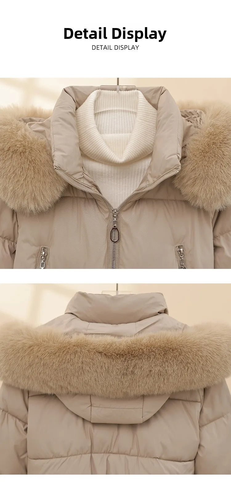 Korean Style Short down Cotton Jacket Women's Thickened Large Fur Collar Hooded Coat Slim Fit Commute Element  Color