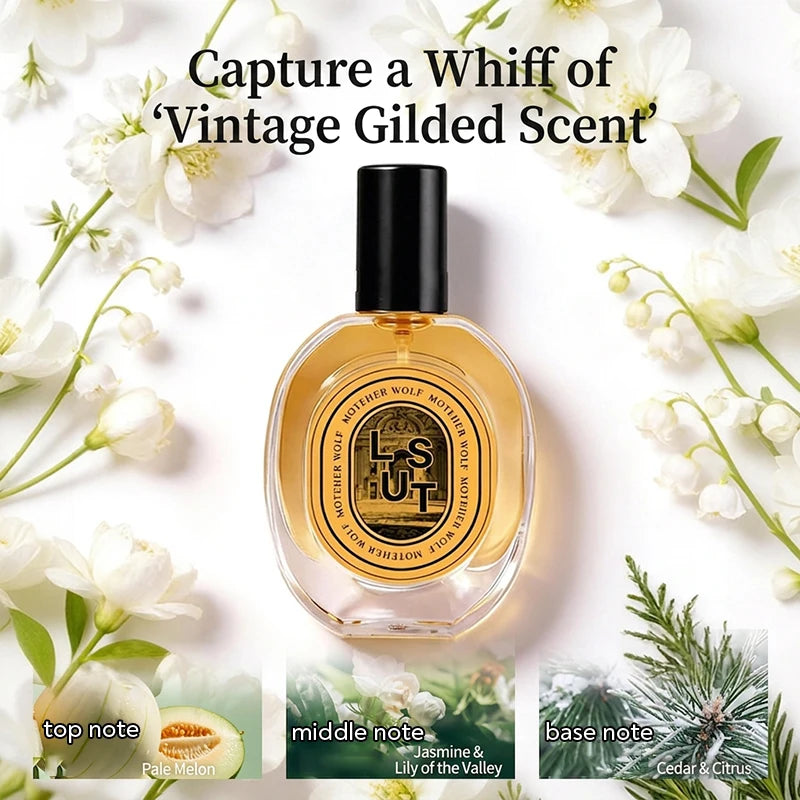 Dubai Arab Men Perfume 100ml Fresh Elegant Cedar Wood Eau De Toilette Charming Unisex Dating Business Fragrance Lasting Scent