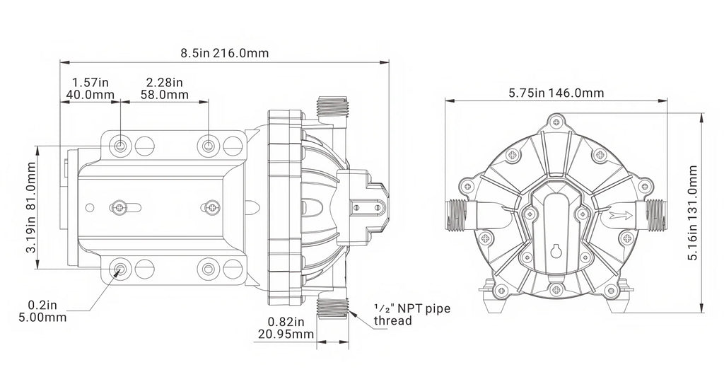 SEAFLO 55 Series 12V 24V Marine Self Priming Diaphragm Water Pump 5.0 GPM 60 PSI for Boat RV Camper Yacht