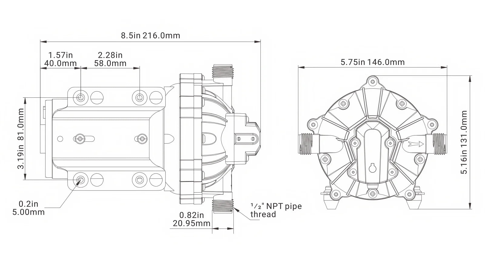 SEAFLO 55 Series 12V 24V Marine Self Priming Diaphragm Water Pump 5.0 GPM 60 PSI for Boat RV Camper Yacht