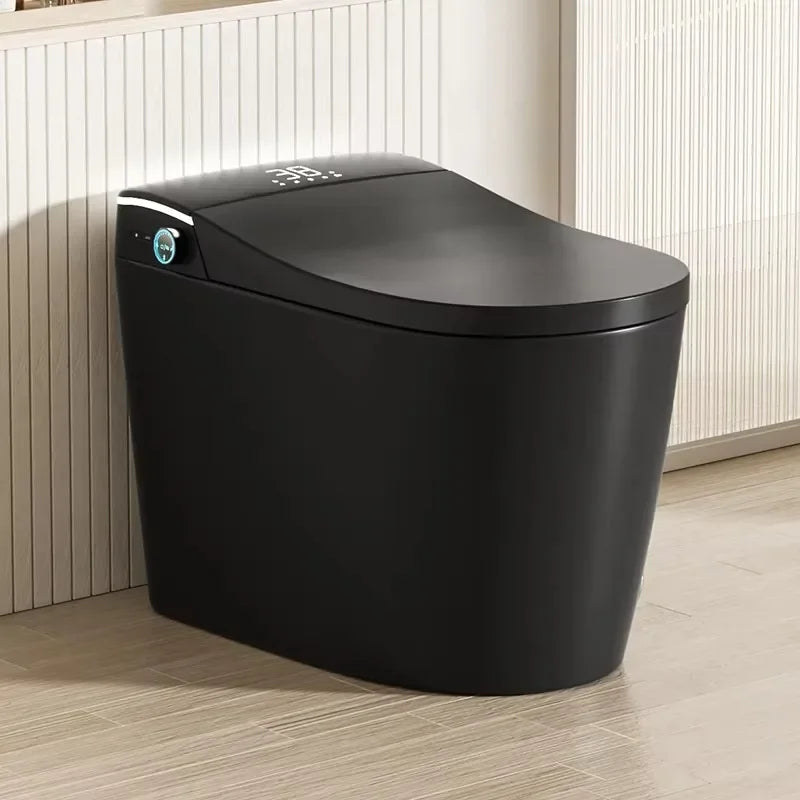 Modern Bathroom Smart Toilet Black Ceramic Automatic Electronic Control Bidet Wc Toilet